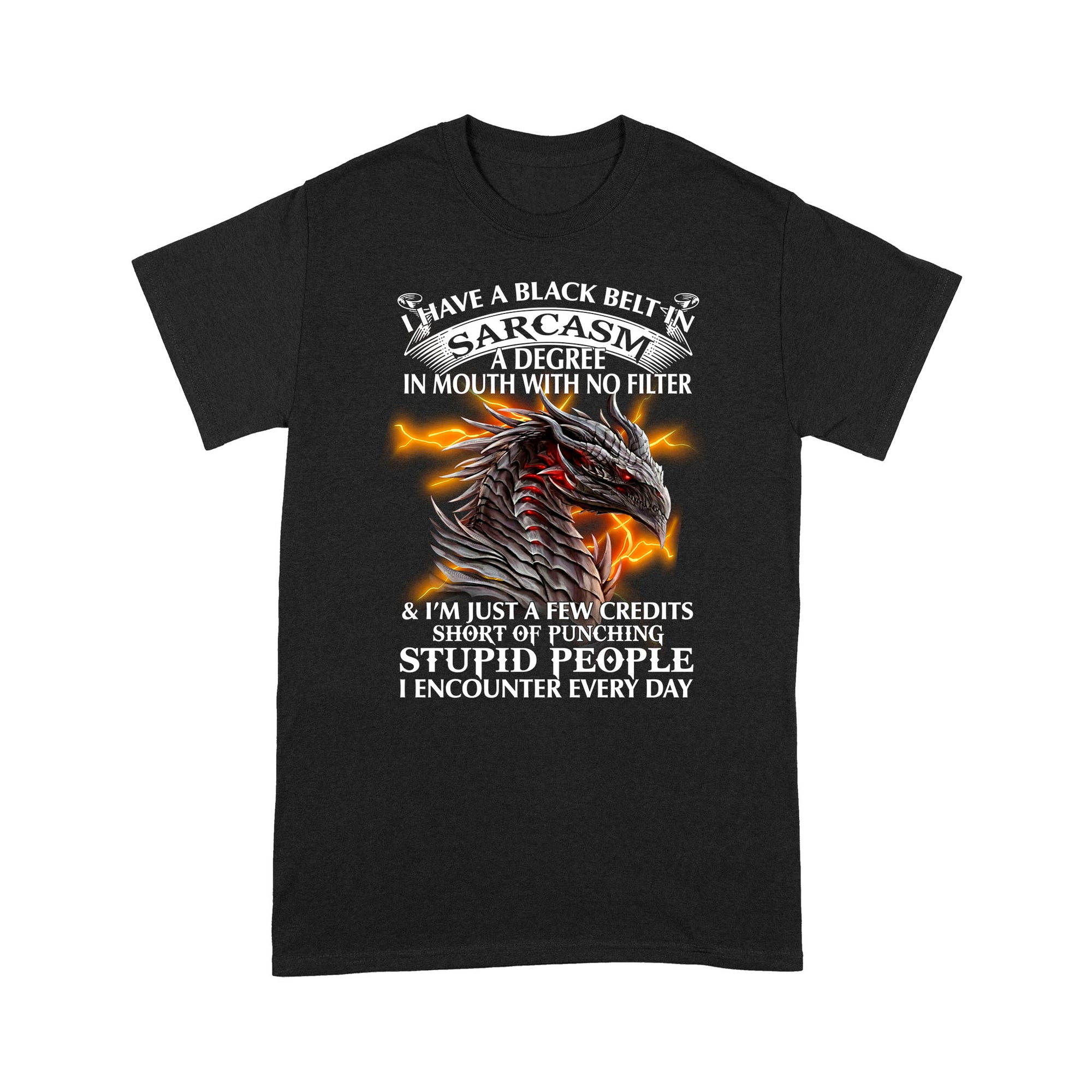 Dragon I Have A Black Belt In Sarcasm Standard T-shirt HG
