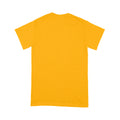 PNG - Standard T-Shirt