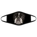 French Bull Dog Face - Face Mask DL