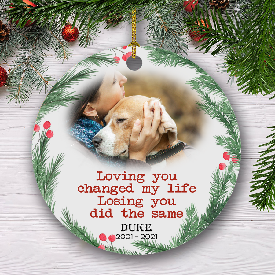Loving You Changed My Mind Customized Ornament Christmas Gift For Dog Lover Home Decor