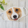 Corgi Funny Face - Dog Lover Mask DL