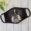 French Bull Dog Face - Face Mask DL