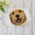 Golden Retriever Dog Face - Face Mask DL