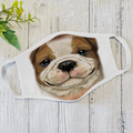 English Pull Dog Face - Face Mask DL