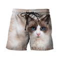 Ragdoll Cat face hair premium hoodie sweatshirt cover