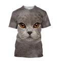 British Shorthair Cat face hair premium hoodie sweatshirt cover