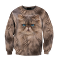 Persians Cat Face Hair Premium Hoodie Sweatshirt Cover