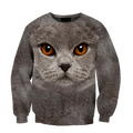 British Shorthair Cat face hair premium hoodie sweatshirt cover