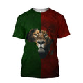 African Lion Power Hoodie